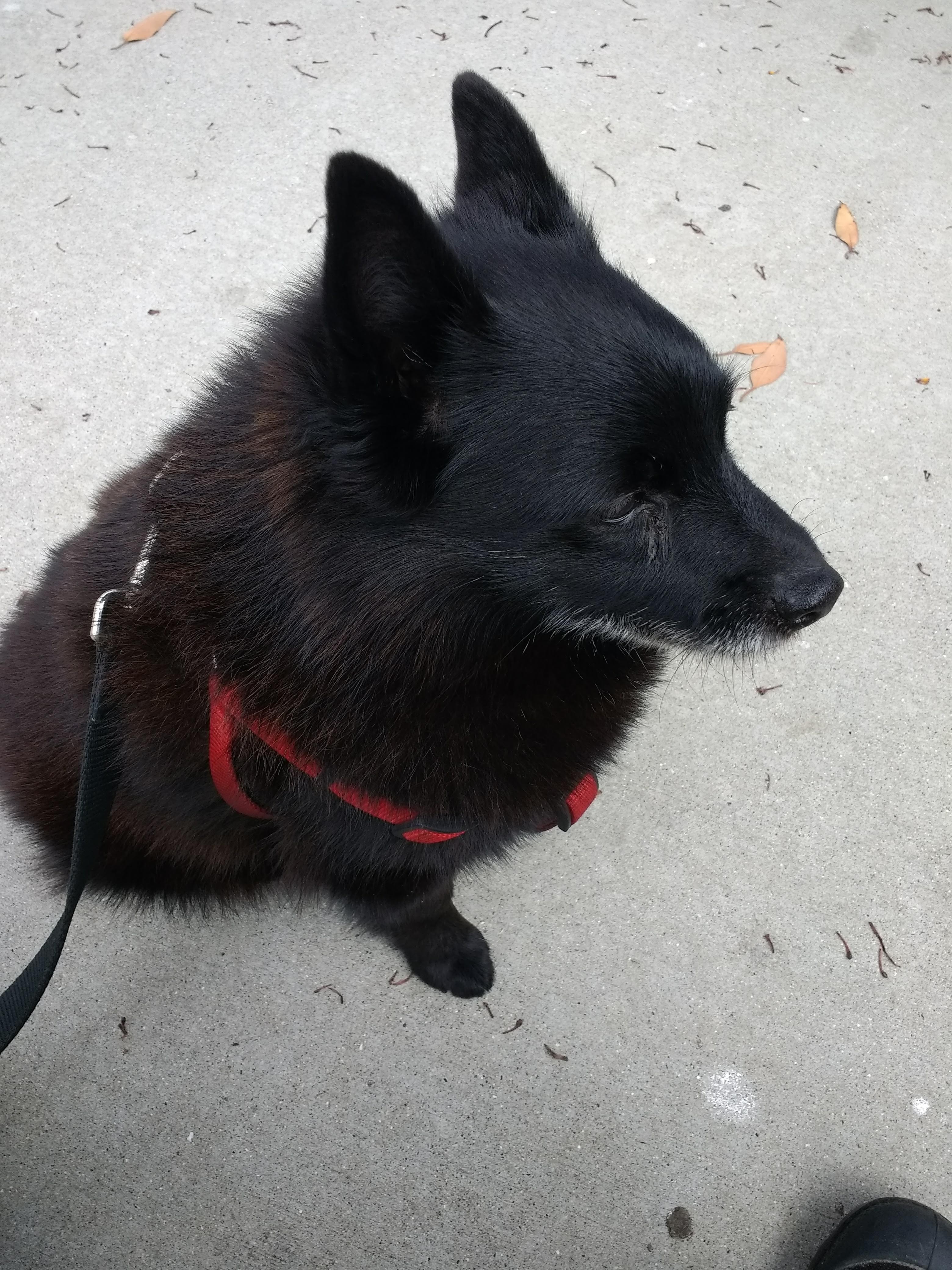 img_20180903_1422194701